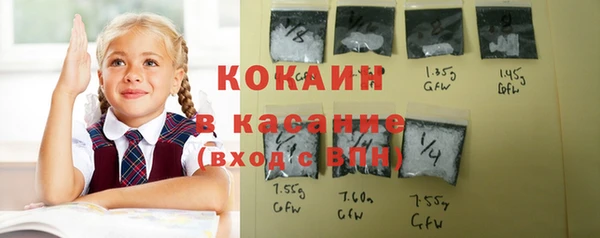 прущие грибы Нефтекумск