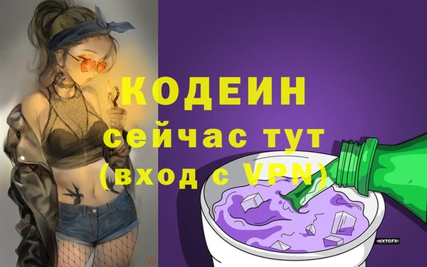 прущие грибы Нефтекумск