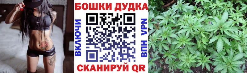 Купить где  Алексеевка  Каннабис план 